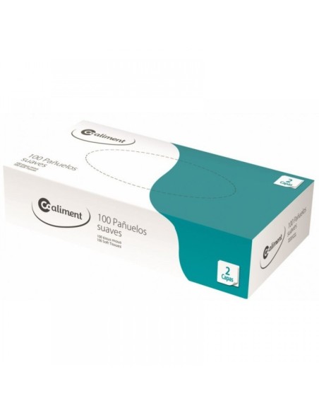 PAÑUELOS FACIALES 2 CAPAS CAJA 100UD